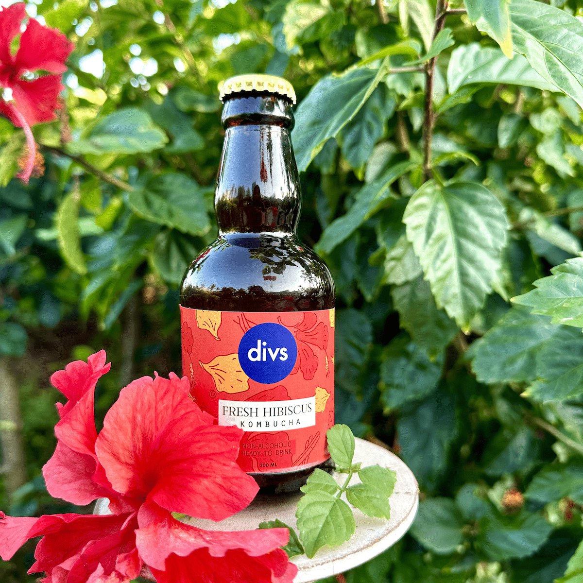 IMG_7294 Divs Fresh Hibiscus - Image 1