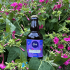 divs Garden Trilogy