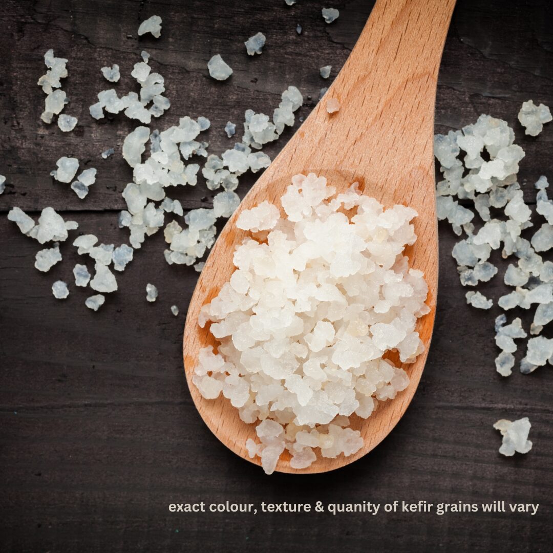 1 Milk Kefir starter (for upto 1 kg milk kefir) - Image 1