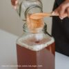 Divs Mother Scoby - Image 2