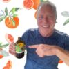 Divs Orange Peppermint Kombucha - Image 2