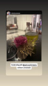 Divs Lemon Lime Kombucha - Image 3