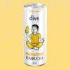 Divs Mango Kombucha